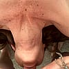 YourFunTeacher5