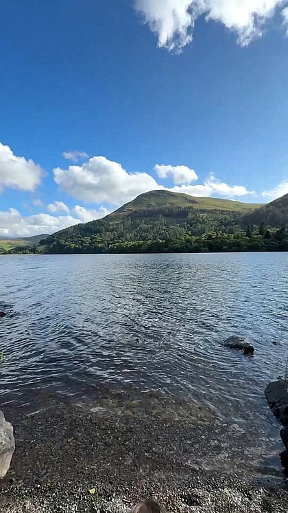 Wild Doggystyle Fuck by the Lake - Watch Me Get Pounded Hard in Outdoor POV'